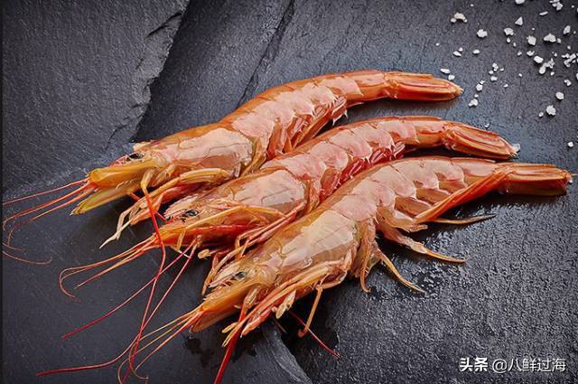 阿根廷红虾价格走低,阿根廷红虾捕捞最新