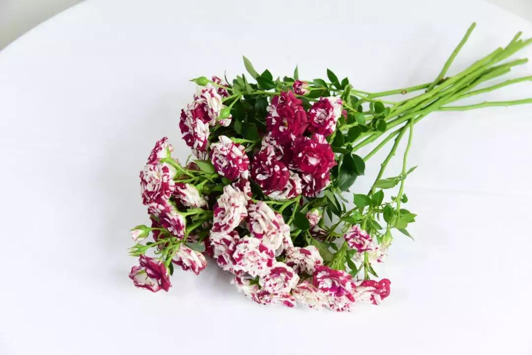 那些年你爱过的小说女配,那些年你爱过的老歌