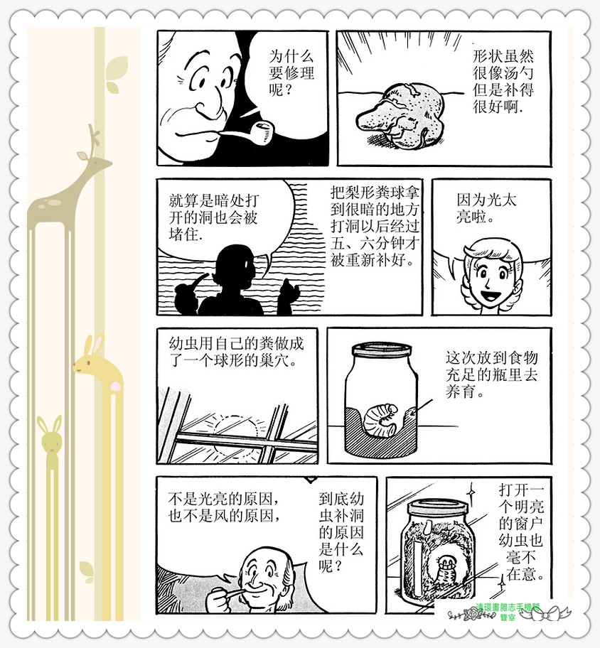 昆虫记法布尔动画片,昆虫记法布尔全套