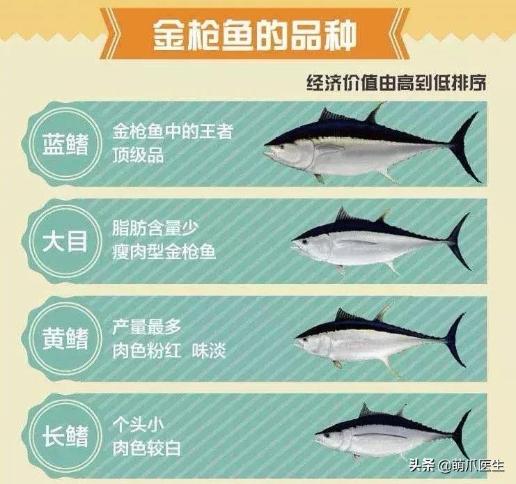 怎样让猫咪喝水才正确,猫咪进厕所喝水