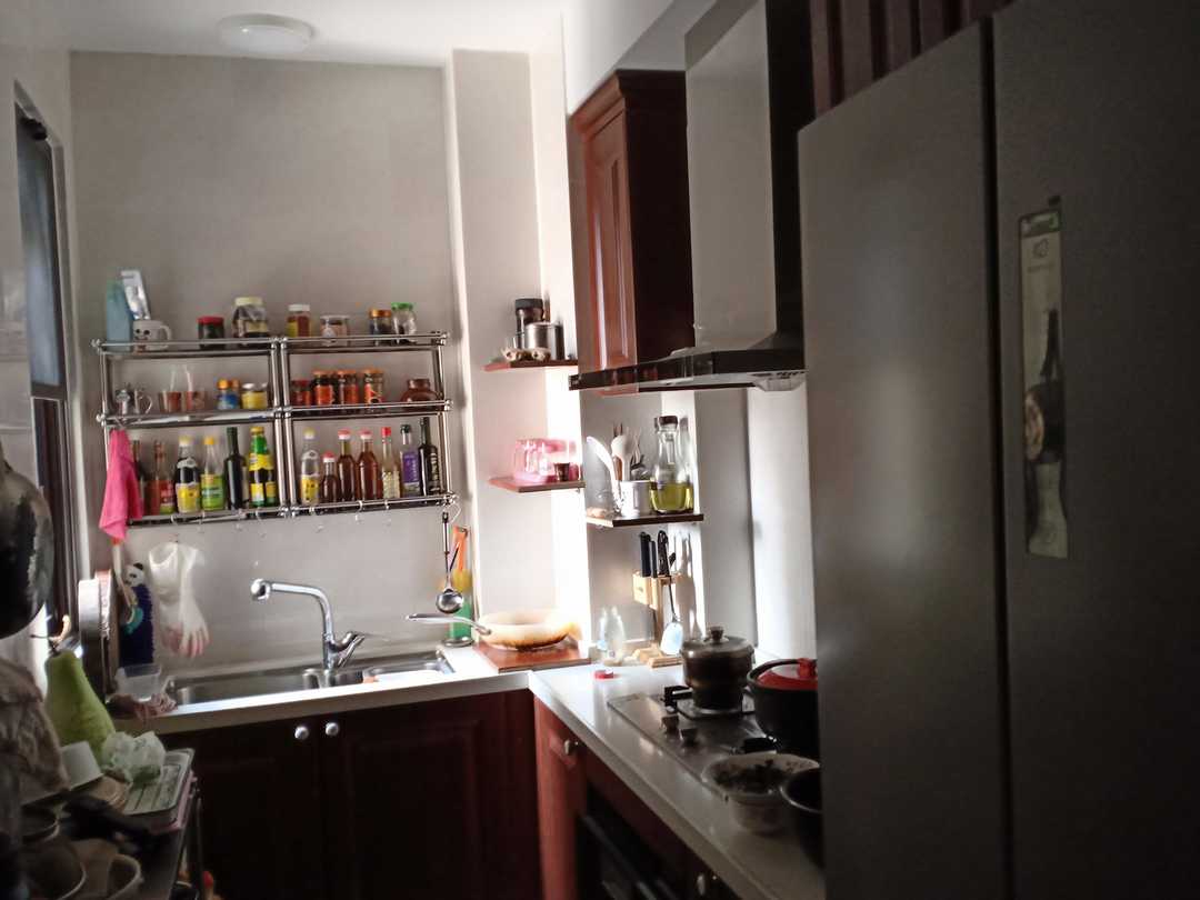 忆当初青春年少,再忆青春完整版