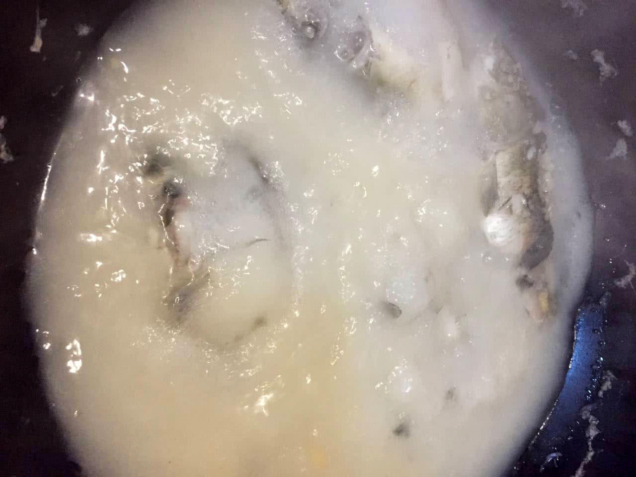 钓了这么多年鱼,有人钓到100多斤的大鳄龟