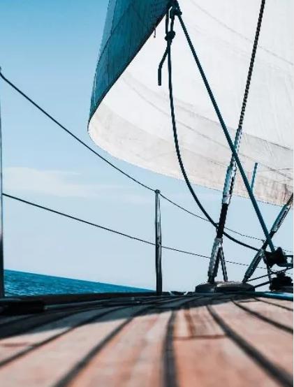 发现深圳红树林之美,发现小众风景点