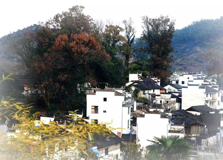 秋季人少景美的小众旅行地,最清静优雅的旅游之地