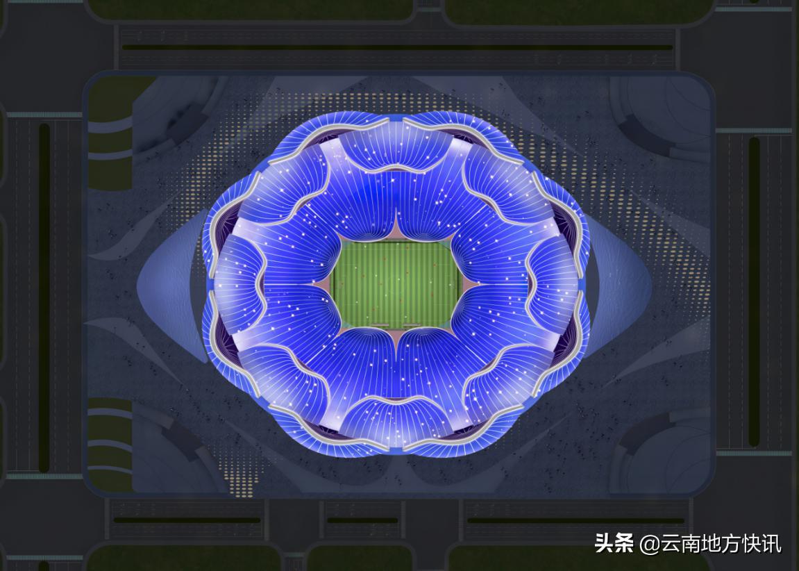 最美荷花盛开视频,最美荷花秀视频大全