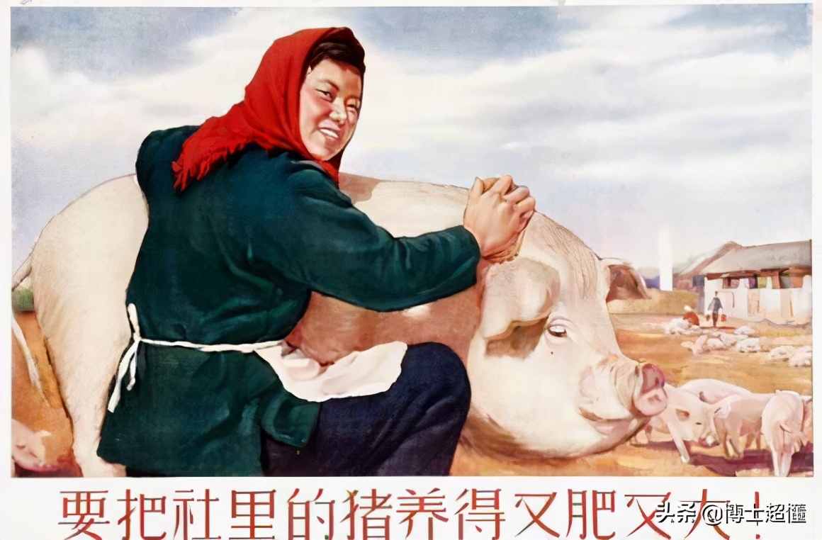 美国控制了中国养猪业吗,中国生猪被美国垄断吗