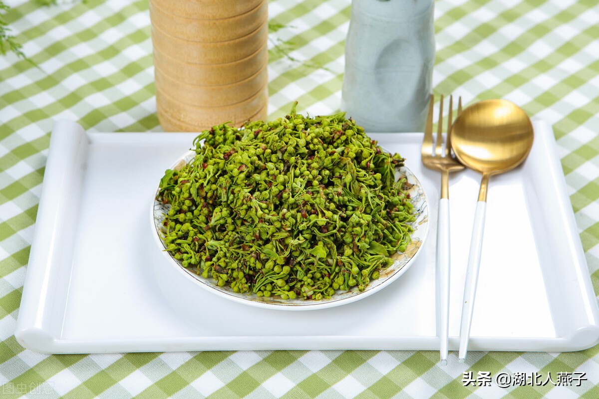 各种可以吃的野菜图片大全及名称 (100种野菜图片大全和名称和吃法)