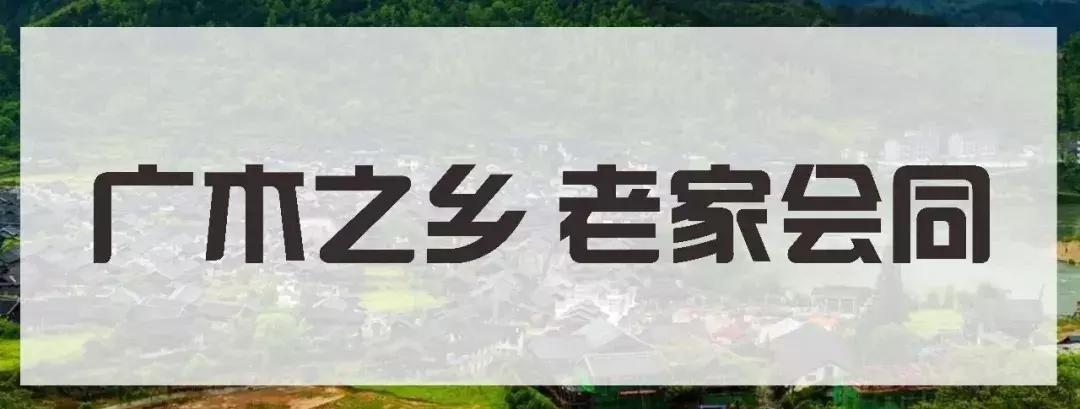 下一站联合电子,下一站同行