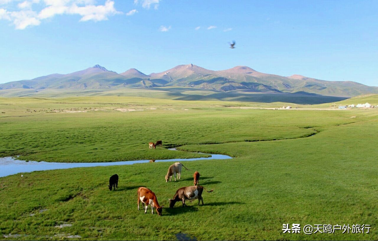 南北疆5-6月自驾最美线路图,说走就走的南北疆自驾旅行