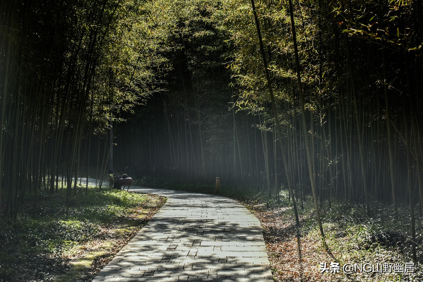 安徽宁国乡镇gdp,安徽省宁国市gdp