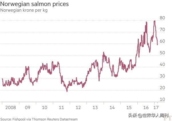 三文鱼是怎么杀死寄生虫的,吃三文鱼感染寄生虫会怎么样