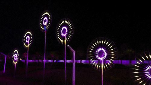 熊猫来永庆坊,鹰潭大熊猫