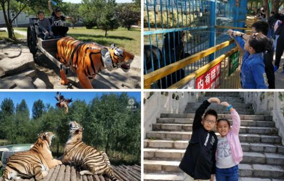 沈阳旅游景点大全排行榜前十名,沈阳必去的三大景点沈阳森林公园