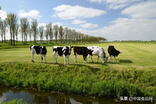 新西兰原装进口奶粉哪个品牌好,进口最好奶粉前十名高端品牌