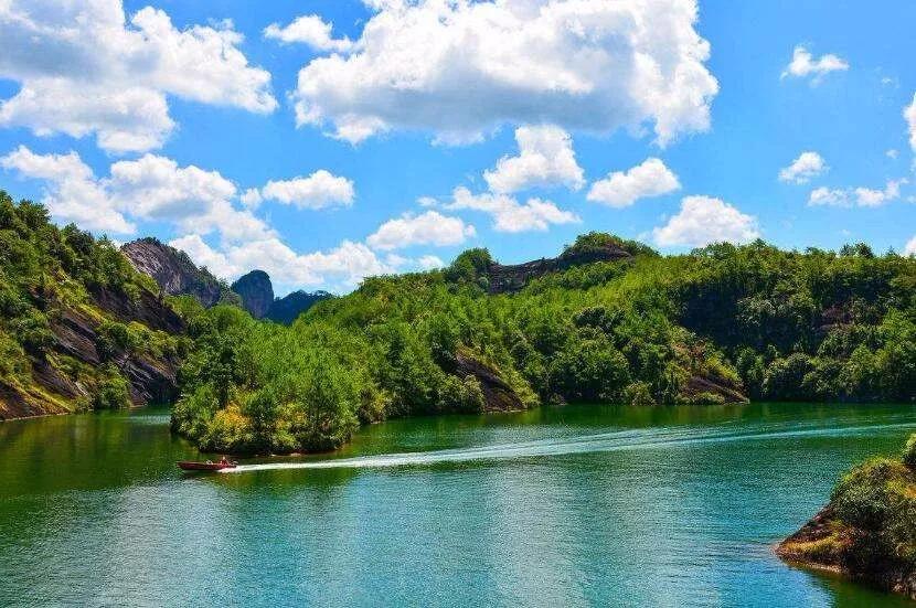 鼎湖附近老字号美食推荐,舌尖上的肇庆完整版