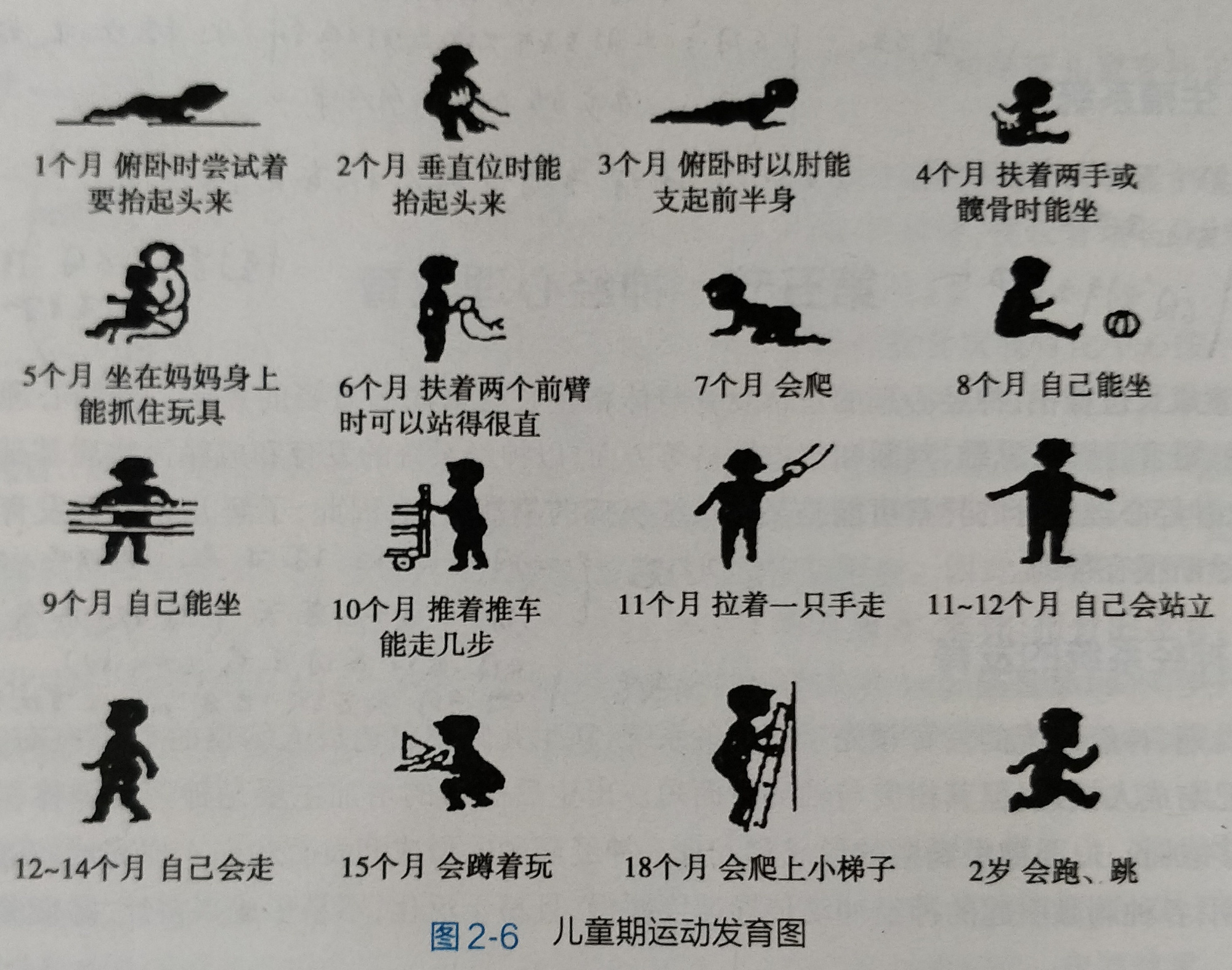 6个月宝宝的敏感期是什么,六月龄宝宝发育评估
