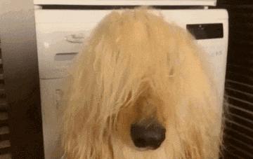 你见过的最搞笑的gif,搞笑gif开心一刻单身也挺好