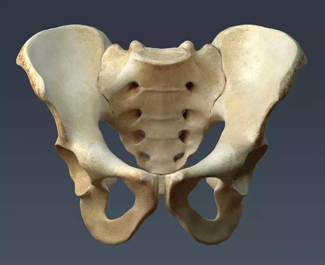 徒手缩骨盆骗局,徒手缩胯骗局