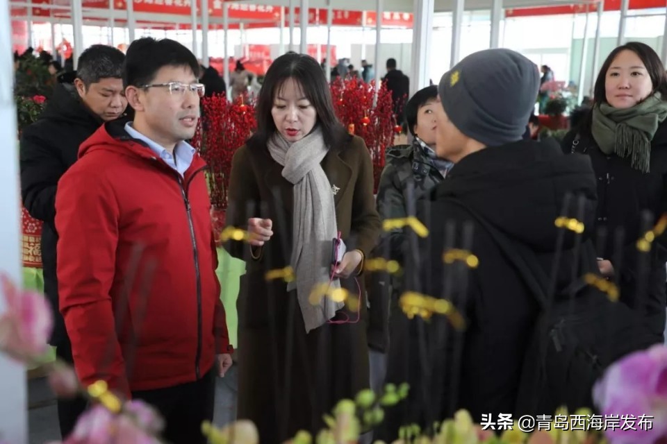 年货节哪里买酒最便宜,年货节买酒去哪里