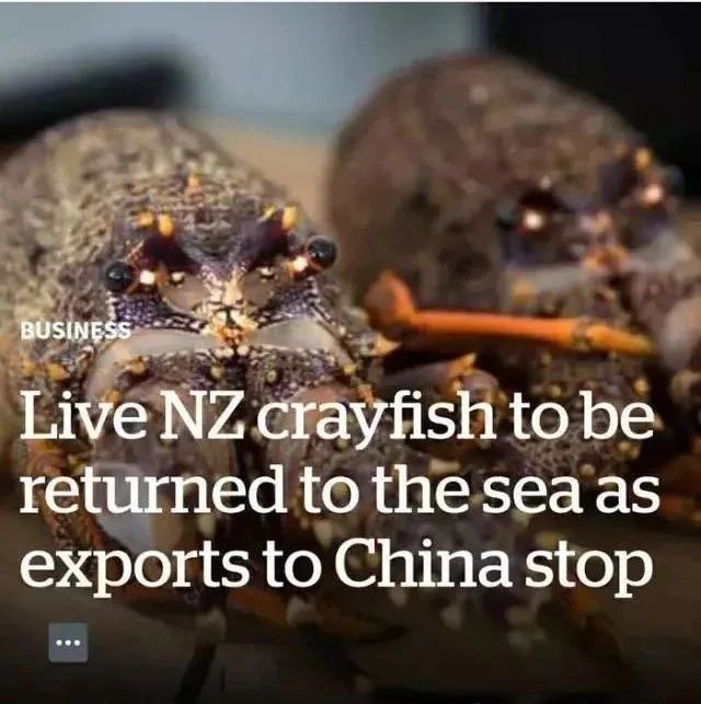 如果没有中国玩家会怎样,如果没有中国世界会是什么样