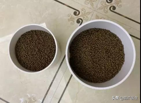 go猫粮翻车了怎么处理,猫吃猫粮死了