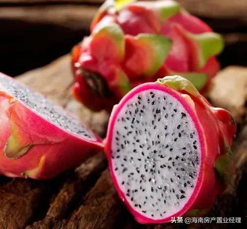 海南临高是个好地方,海南临高风景特色介绍