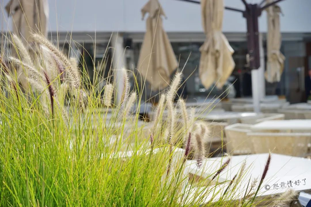 古代突尼斯城的港口,古老的地中海