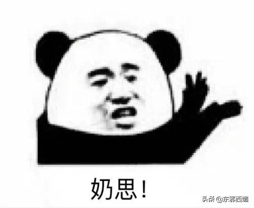 没想到他们俩的组合，居然能好笑成这样