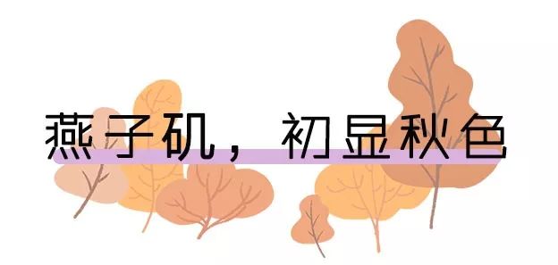 燕子矶公园讲解,燕子矶公园在哪里啊