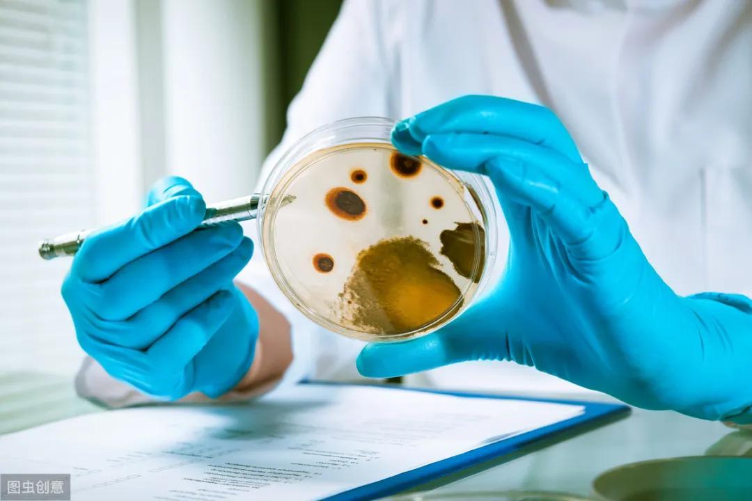 冰箱里隐藏的杀手大家不得不防,冰箱散发什么有害物质