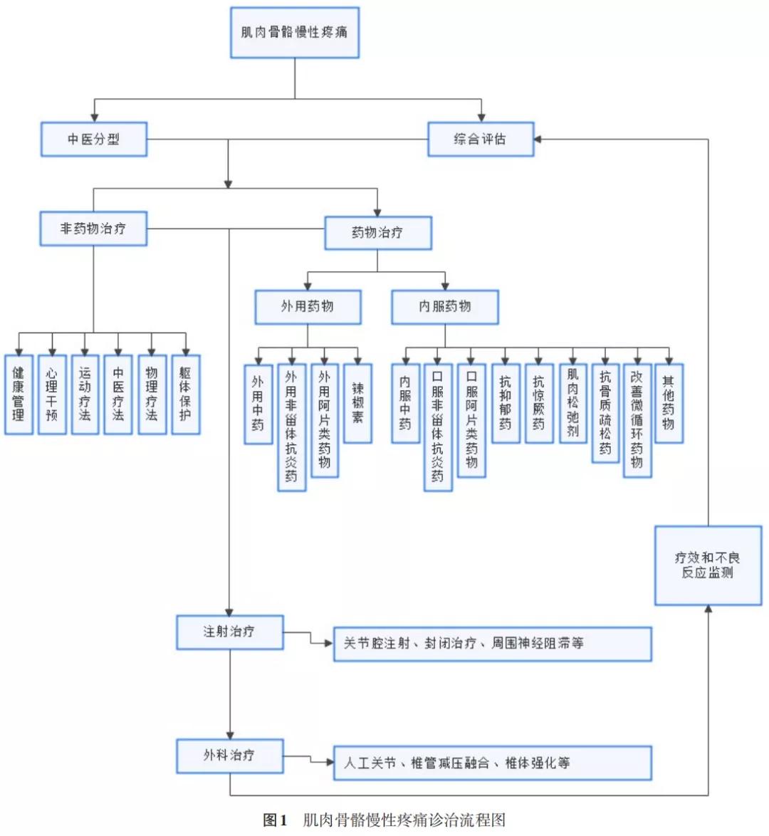 肌肉骨骼慢性疼痛诊治专家共识ppt,肌肉骨骼疼痛怎么治疗