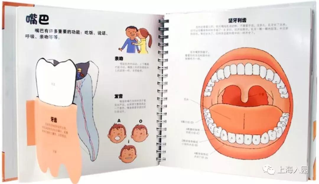 入园必备！10套热门幼儿启蒙书籍，公文七田真逻辑狗，疯狂热卖