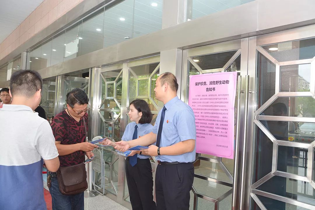 普法讲解野生动物,法治动物