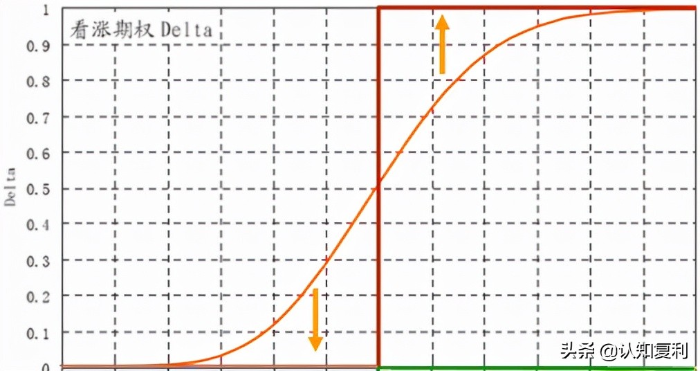 期权和股票交易有什么区别,期权与股票