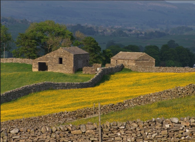 老球迷踢足球,老球迷足球