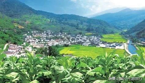 生态农业与生态农业发展的区别,生态农业发展与生态农业科技