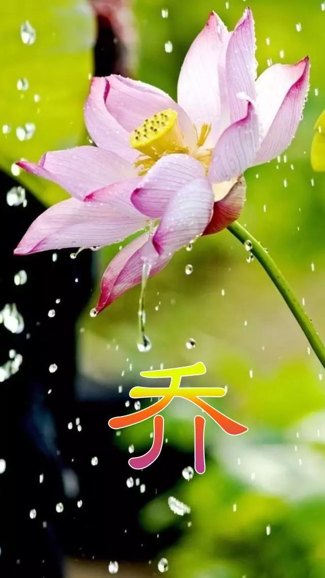 珠宝翡翠艺术字体,翡翠字体图片欣赏