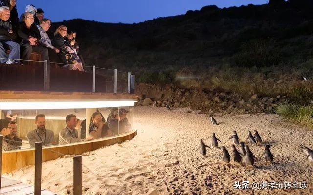 閬垮啲鍦ｅ湴,涓浗閬垮啲鍦ｅ湴