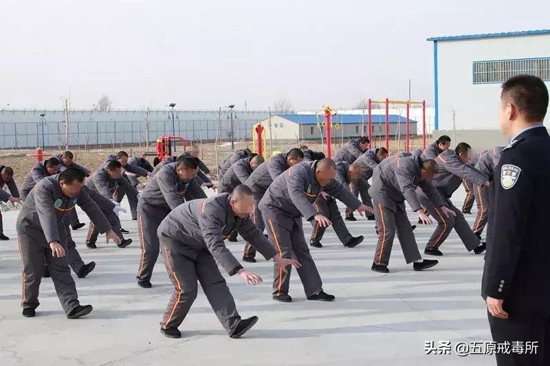 全市社区戒毒社区康复成绩,戒毒系统工作