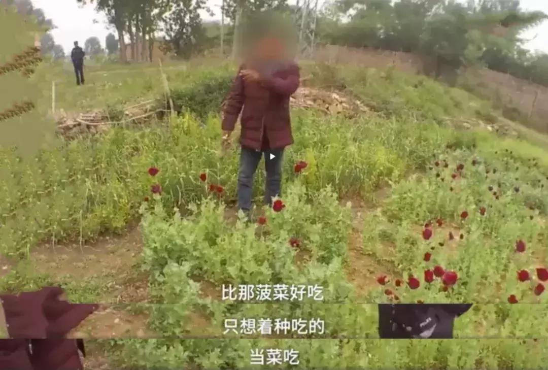 #净网2019#【小苏来吐槽】男子偷鸡是受到“召唤”，嫌疑人网吧被抓：这局打完！