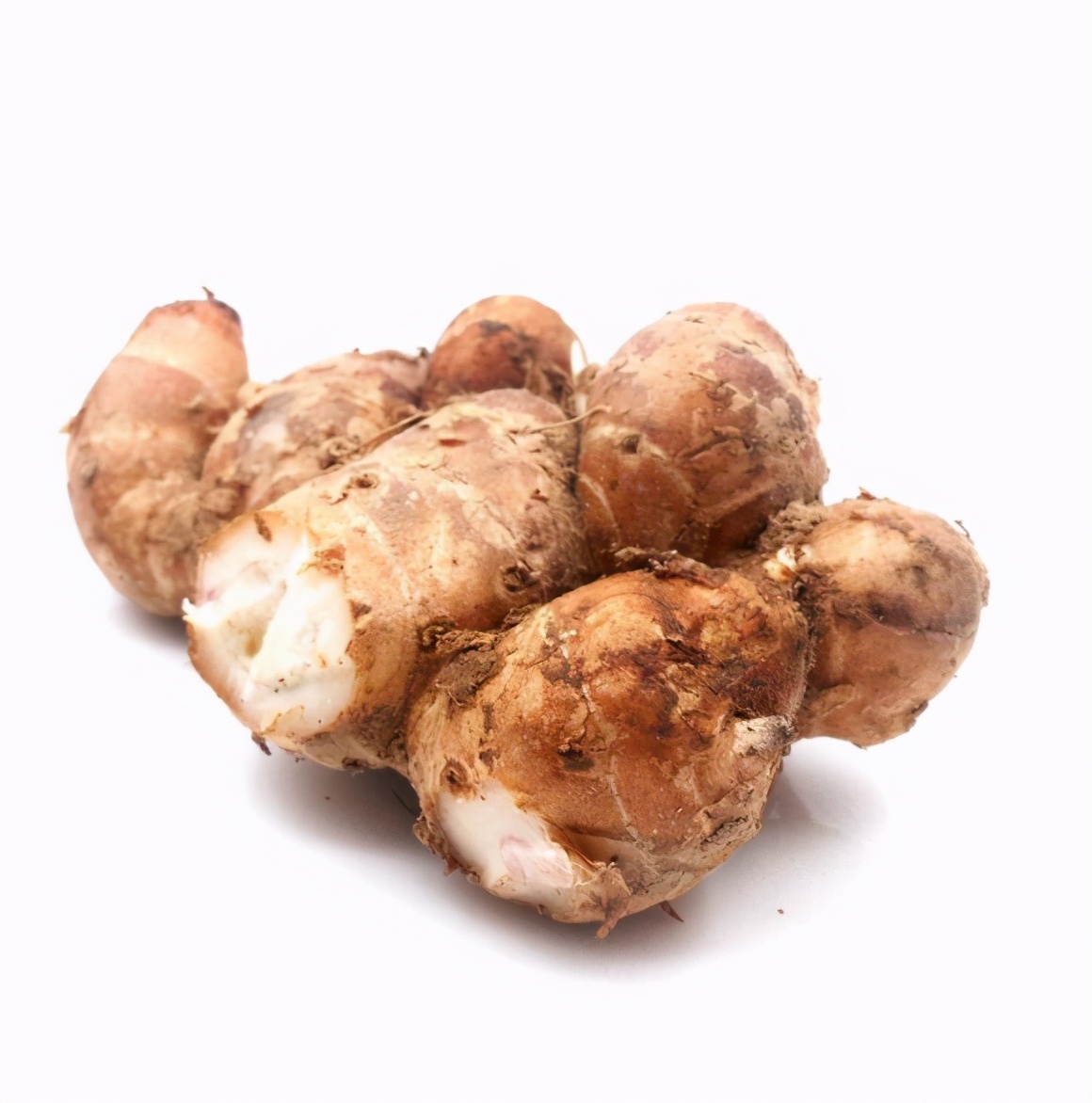 煲狗肉的做法教程,煲狗肉放什么菜最好吃