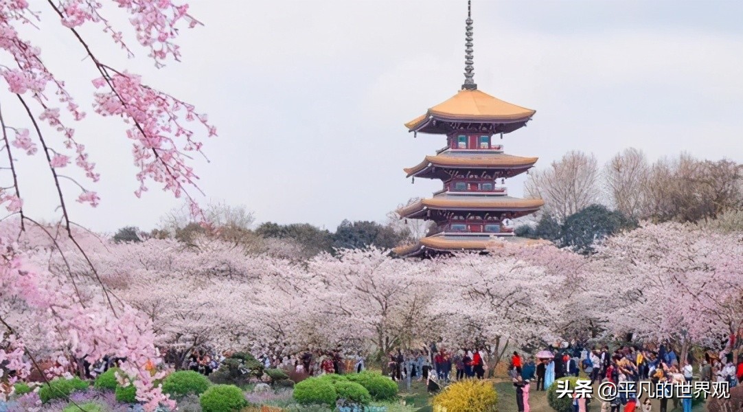 华东五校和c9哪个牛,c9是参照武汉七校联盟成立的吗