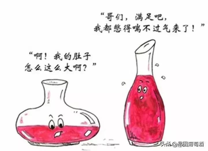 掌握了这些泡茶就变得简单了,葡萄酒的套路