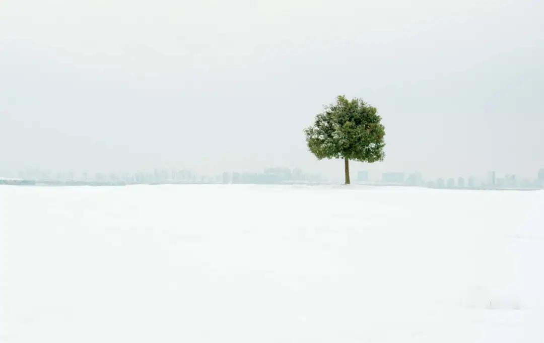 苏州小众旅游景点推荐,苏州好看又小众的拍照圣地