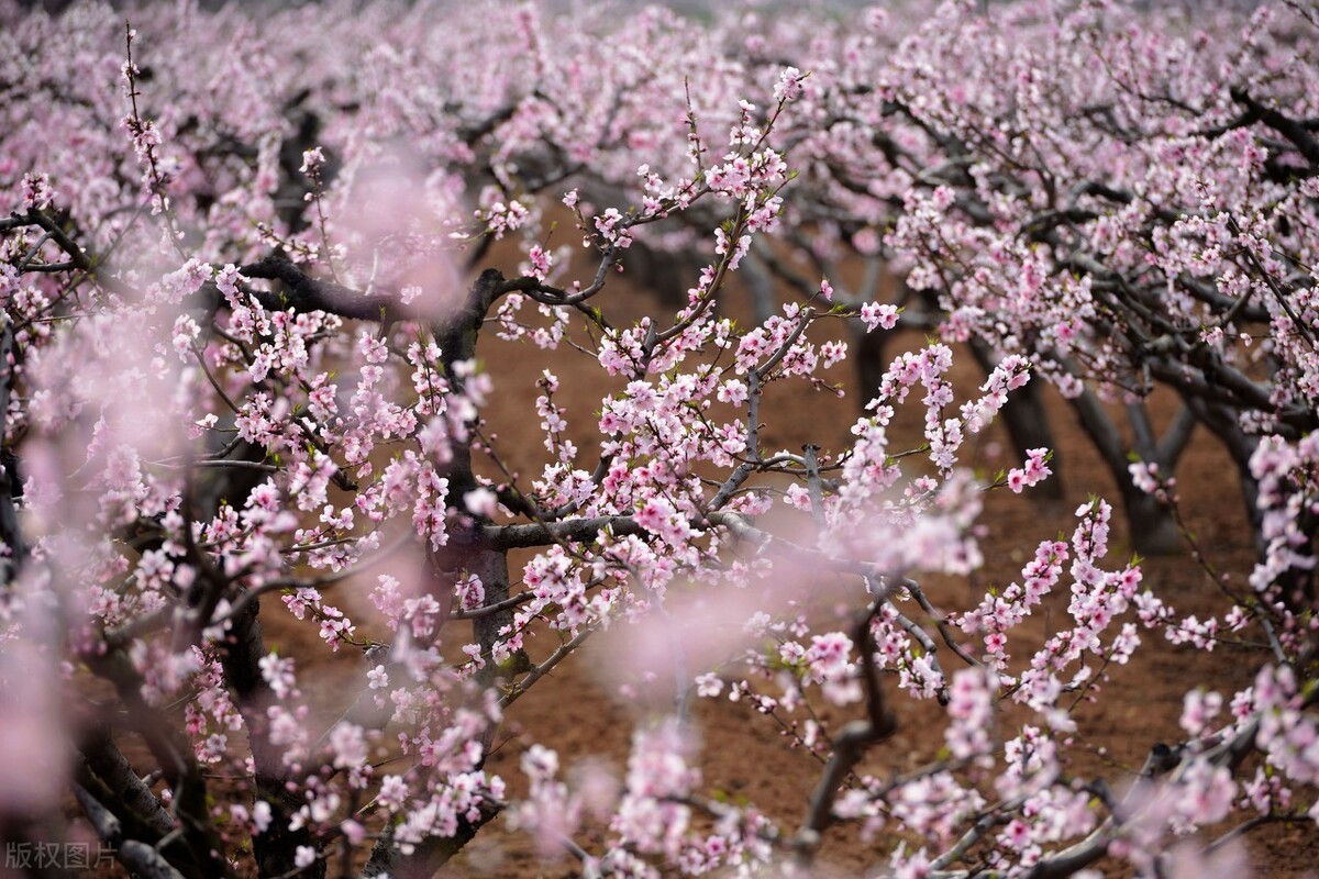 述职报告,转正述职报告