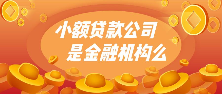 小额贷款公司属于合法公司吗,小额贷款公司属不属于金融机构
