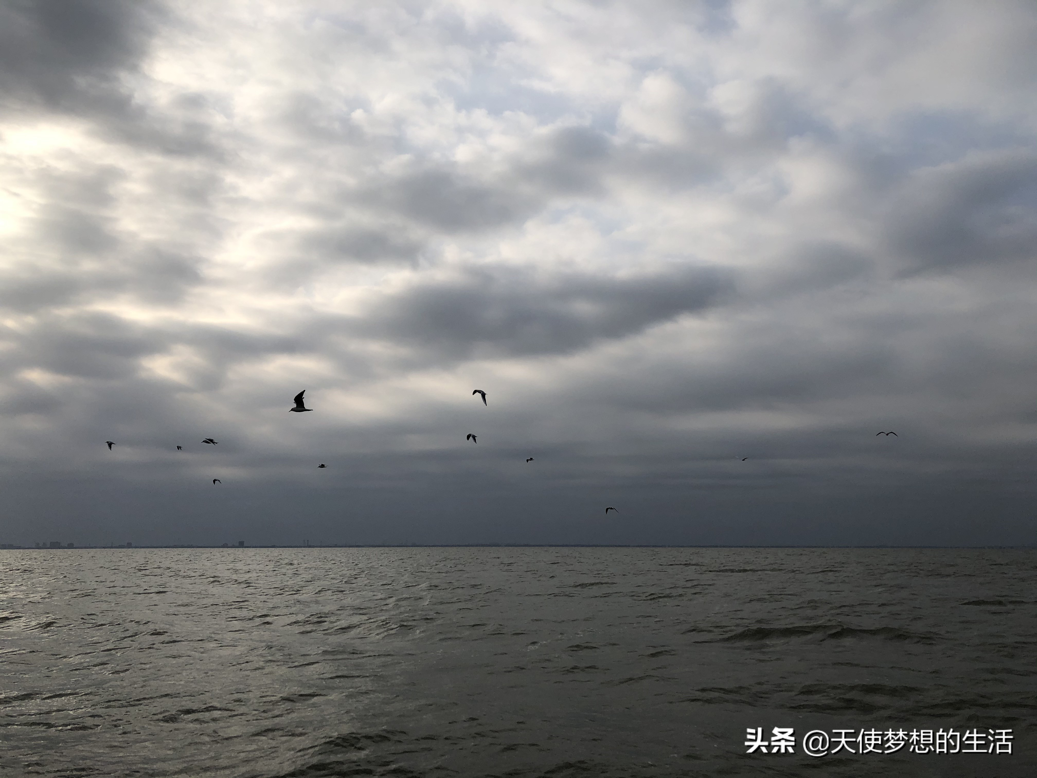 苏州太湖三山岛景区,苏州太湖的三山岛有风景吗