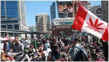 加拿大的大魁北克,加拿大大麻问题