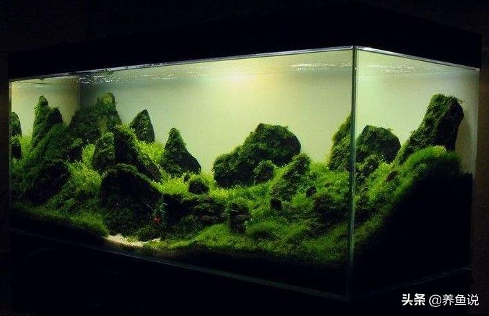 鱼缸铺底砂为什么会发黑,鱼缸底砂发黑发臭怎么办