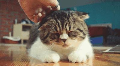 关于疫情的6大谣言,关于疫情的谣言100字